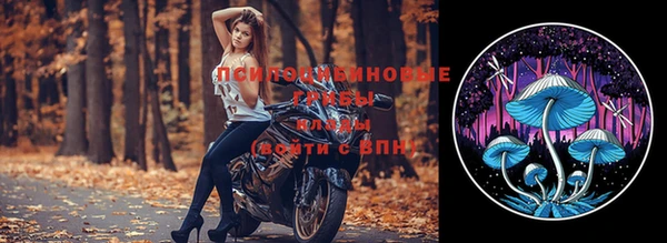 скорость Алексин