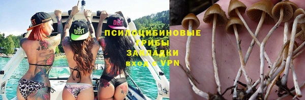 соль ск Алексеевка