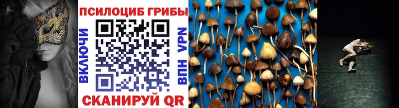 Галлюциногенные грибы Magic Shrooms  Воткинск 